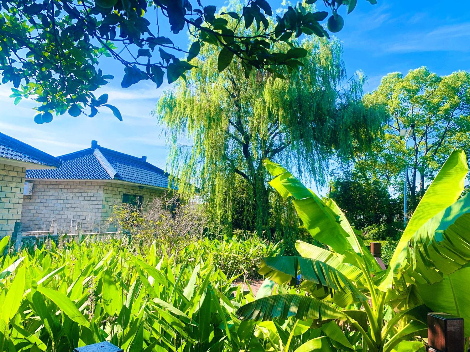 Shushe Hotel 샹하이 외부 사진